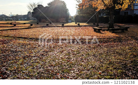 Fallen leaves in the park Winter park Fallen leaves in the park Winter park 121102138