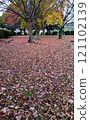 公園裡的落葉，冬季公園 121102139