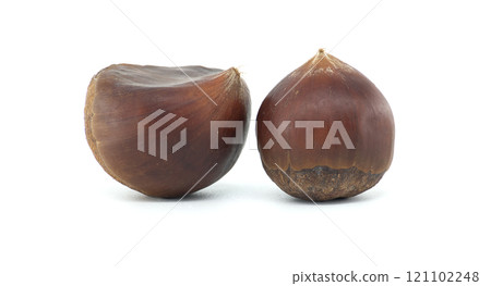 Freshly Harvested Chestnuts on White Background Freshly Harvested Chestnuts on White Background 121102248