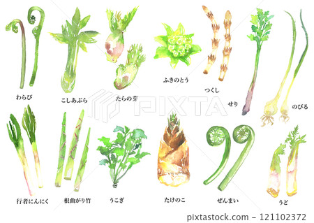 水彩畫野菜插圖集 121102372