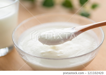 plain yogurt plain yogurt 121102420