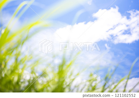 夏日的草與夏日的天空 蒜山高原 夏日的草與夏日的天空 蒜山高原 121102552
