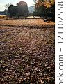 冬季公園：落葉和枯葉的地毯 121102558