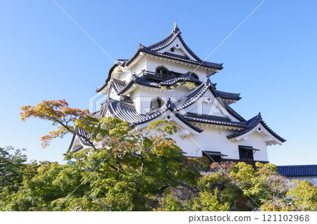 Takamori Hikone castle Takamori Hikone castle 121102968