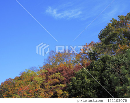 Autumn sky and autumn leaves 121103076