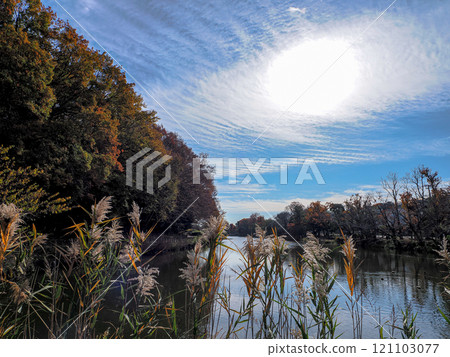 Autumn leaves and blue sky at Junsai Pond 121103077