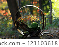 I found a little bit of autumn in the moss bonsai 121103618