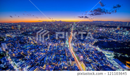 俯瞰富士山的東京大都會暮色夜景 121103645