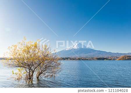 "Yamanashi Prefecture" Autumn view of Mt. Fuji and Lake Kawaguchi 121104028