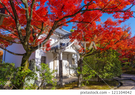 京都的秋天，法金剛院，佛經被秋葉覆蓋 121104042