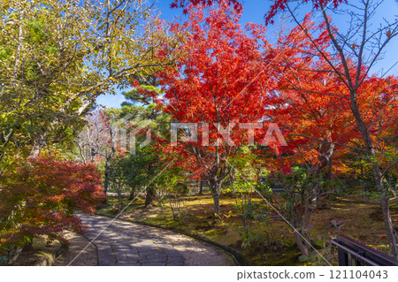 Autumn in Kyoto: Hokongoin Temple - The approach to the temple is enveloped in autumn leaves Autumn in Kyoto: Hokongoin Temple - The approach to the temple is enveloped in autumn leaves 121104043
