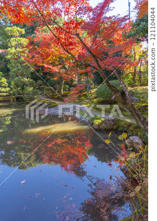 Autumn in Kyoto: Hokongoin Temple Garden - Fall foliage on the pond Autumn in Kyoto: Hokongoin Temple Garden - Fall foliage on the pond 121104044