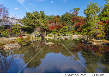 秋天的京都,Hokongoin 花園,秋葉變成花園和池塘 秋天的京都,Hokongoin 花園,秋葉變成花園和池塘 121104045
