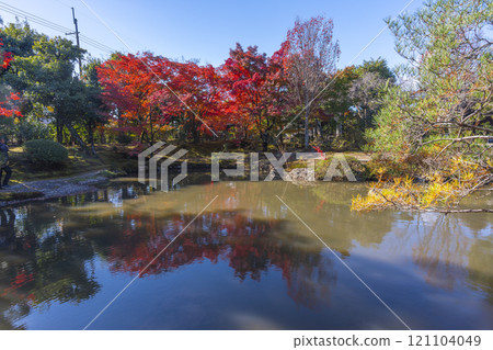 Autumn in Kyoto: Hokongoin Temple Garden - Fall foliage on the pond Autumn in Kyoto: Hokongoin Temple Garden - Fall foliage on the pond 121104049