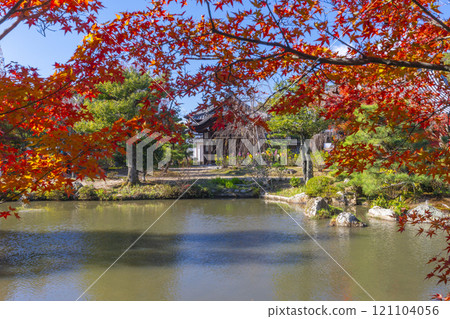 Autumn in Kyoto: Hokongoin Temple Garden, pond and beautiful autumn leaves Autumn in Kyoto: Hokongoin Temple Garden, pond and beautiful autumn leaves 121104056