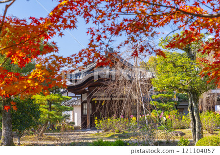 Autumn in Kyoto: Hokongoin Temple entrance and beautiful autumn leaves Autumn in Kyoto: Hokongoin Temple entrance and beautiful autumn leaves 121104057