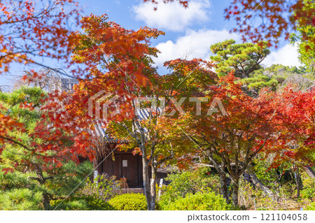 Autumn in Kyoto: Hokongo-in Temple, the worship hall and beautiful autumn leaves Autumn in Kyoto: Hokongo-in Temple, the worship hall and beautiful autumn leaves 121104058