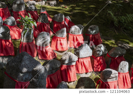 秋天的京都、法金剛院、石佛群 121104063