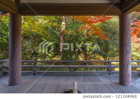秋天的京都,Hokongoin 花園,從大廳可以看到秋葉 秋天的京都,Hokongoin 花園,從大廳可以看到秋葉 121104068