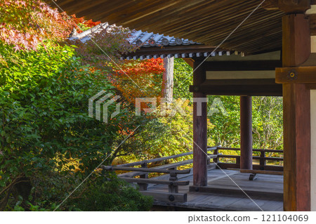 秋天的京都,Hokongoin 花園,從大廳可以看到秋葉 秋天的京都,Hokongoin 花園,從大廳可以看到秋葉 121104069