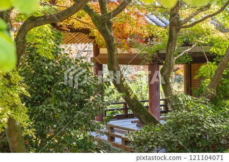 秋天的京都、Hokongoin 花園、寺廟大廳和秋葉 秋天的京都、Hokongoin 花園、寺廟大廳和秋葉 121104071