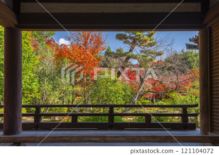 秋天的京都，從大廳就能看到紅葉覆蓋的庭園“法金剛院” 121104072
