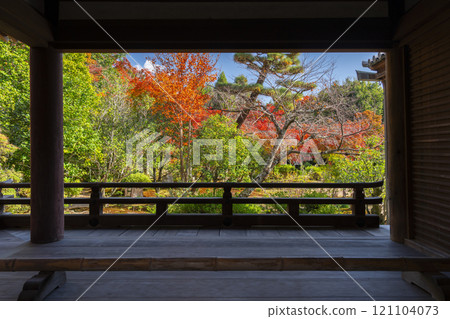 Autumn in Kyoto: Hokongoin Garden - A garden surrounded by autumn leaves as seen from the worship hall 121104073