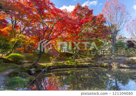 秋天的京都，Hokongoin 花園，秋葉變成花園和池塘 121104080