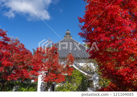 Autumn in Kyoto: Hokongoin Temple, the scripture repository surrounded by autumn leaves 121104085