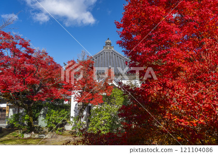 Autumn in Kyoto: Hokongoin Temple, the scripture repository surrounded by autumn leaves Autumn in Kyoto: Hokongoin Temple, the scripture repository surrounded by autumn leaves 121104086