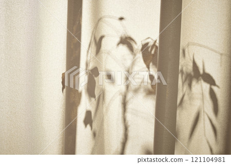 Warm sunlight streaming in through the window, beige background, flowers, vases, and a table with plants. Harmony of light and shadow. 121104981