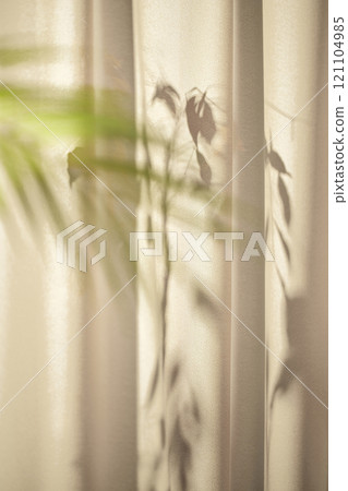 Warm sunlight streaming in through the window, beige background, flowers, vases, and a table with plants. Harmony of light and shadow. 121104985
