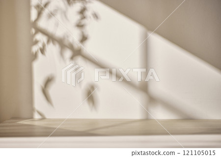Warm sunlight streaming in through the window, beige background, flowers, vases, and a table with plants. Harmony of light and shadow. 121105015