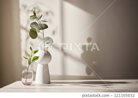 Warm sunlight streaming in through the window, beige background, flowers, vases, and a table with plants. Harmony of light and shadow. 121105032