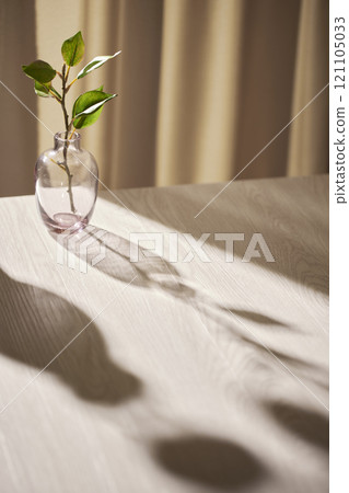 Warm sunlight streaming in through the window, beige background, flowers, vases, and a table with plants. Harmony of light and shadow. Warm sunlight streaming in through the window, beige background, flowers, vases, and a table with plants. Harmony of light and shadow. 121105033
