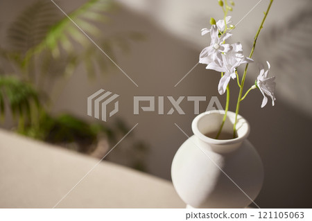 Warm sunlight streaming in through the window, beige background, flowers, vases, and a table with plants. Harmony of light and shadow. 121105063