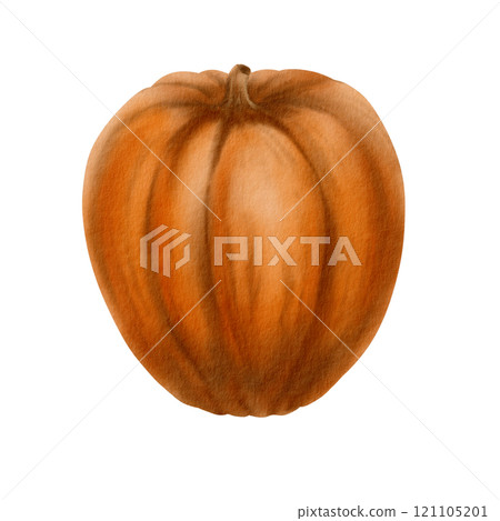 Rustic orange pumpkin from the fall harvest as a festive holiday symbol.Farm healthy food.Party decoration for Halloween,Thanksgiving,pie recipe.Hand-drawn watercolor clipart on transparent background Rustic orange pumpkin from the fall harvest as a festive holiday symbol.Farm healthy food.Party decoration for Halloween,Thanksgiving,pie recipe.Hand-drawn watercolor clipart on transparent background 121105201