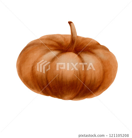 Rustic orange pumpkin from the fall harvest as a festive holiday symbol.Farm healthy food.Party decoration for Halloween,Thanksgiving,pie recipe.Hand-drawn watercolor clipart on transparent background 121105208