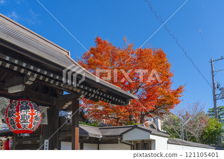 Kyoto Nishijin: Autumn leaves at Uhoin Temple (Nishijin Shoden) South Gate 121105401
