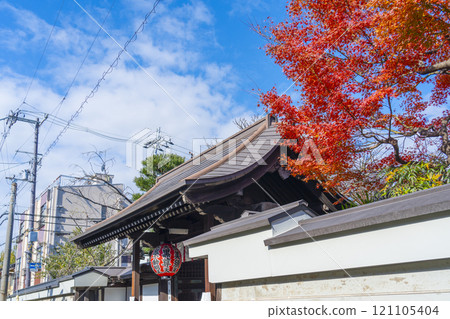 Kyoto Nishijin: Autumn leaves at Uhoin Temple (Nishijin Shoden) South Gate Kyoto Nishijin: Autumn leaves at Uhoin Temple (Nishijin Shoden) South Gate 121105404