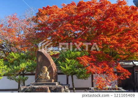 京都寶京寺人偶塚與鮮紅的秋葉 121105409
