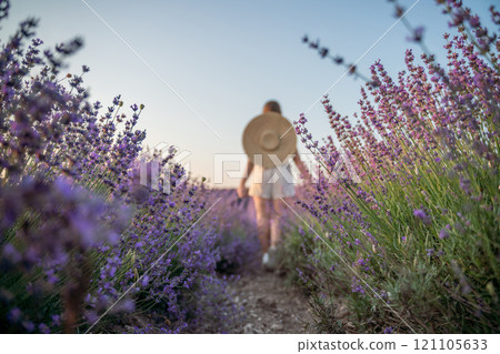 A woman is walking through a field of purple flowers with a straw hat on A woman is walking through a field of purple flowers with a straw hat on 121105633