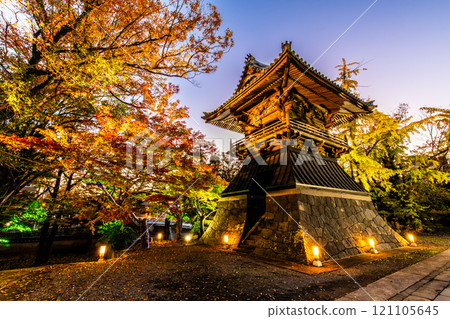 Autumn leaves illumination at Anshoji Temple [Isahaya City, Nagasaki Prefecture] 121105645