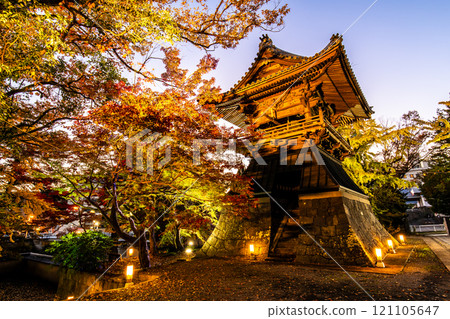 Autumn leaves illumination at Anshoji Temple [Isahaya City, Nagasaki Prefecture] 121105647