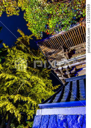 Autumn leaves illumination at Anshoji Temple [Isahaya City, Nagasaki Prefecture] 121105669