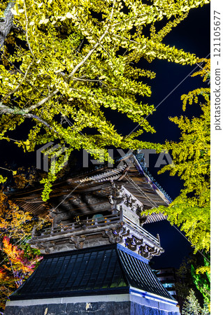 Autumn leaves illumination at Anshoji Temple [Isahaya City, Nagasaki Prefecture] 121105677