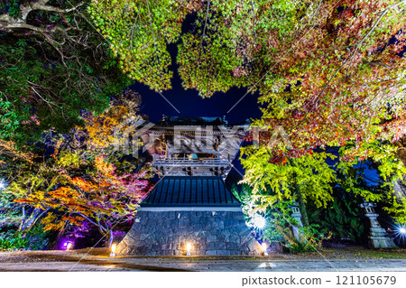 Autumn leaves illumination at Anshoji Temple [Isahaya City, Nagasaki Prefecture] 121105679