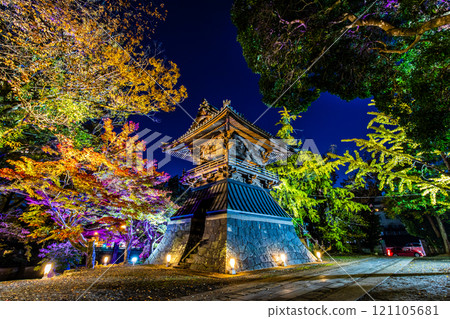 安勝寺的紅葉彩燈【長崎縣諫早市】 121105681