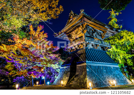 Autumn leaves illumination at Anshoji Temple [Isahaya City, Nagasaki Prefecture] 121105682