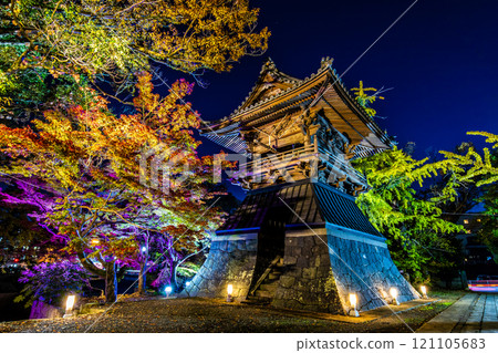 Autumn leaves illumination at Anshoji Temple [Isahaya City, Nagasaki Prefecture] 121105683